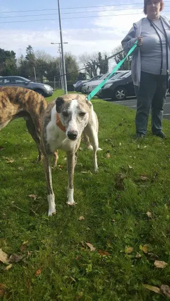 received 1177817632309838