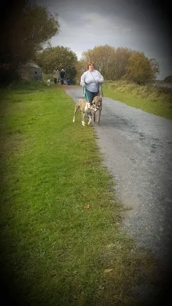 received 1177817635643171