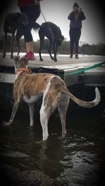 received 1177817705643164