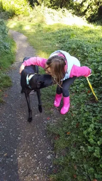 received 1186583211433280