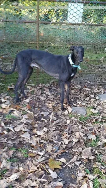 received 1186583214766613