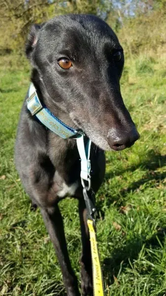 received 1186583218099946