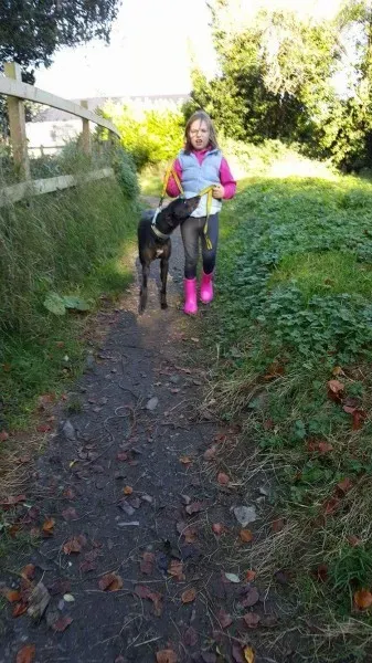 received 1186583221433279