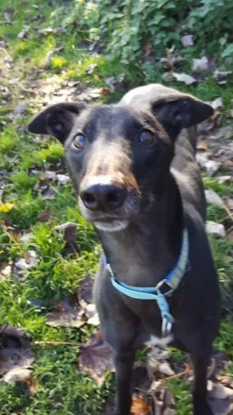 received 1186583224766612