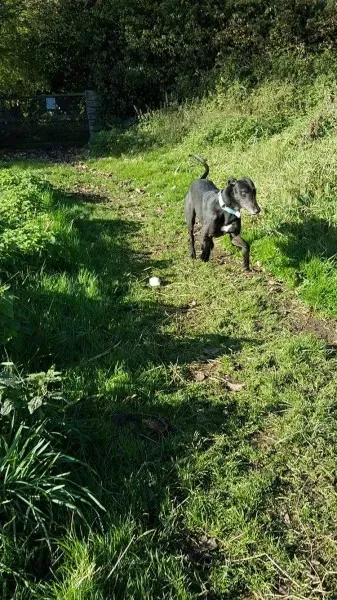 received 1186583228099945