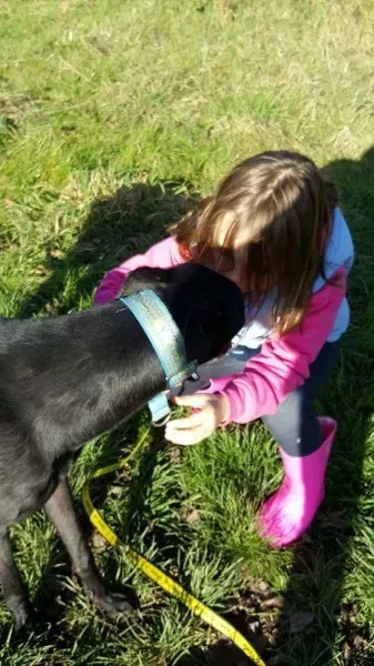 received 1186583231433278