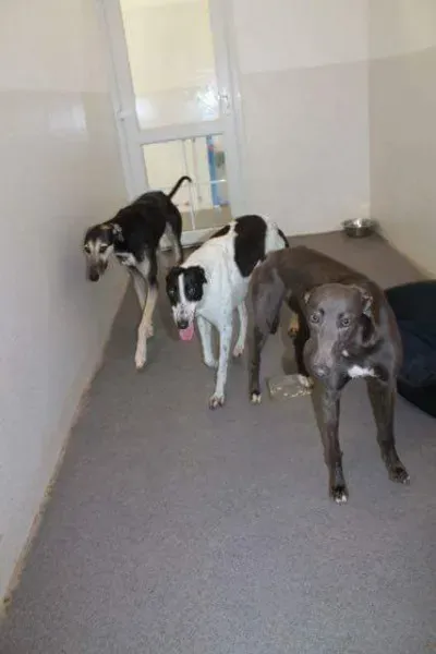 received 1251384681619799