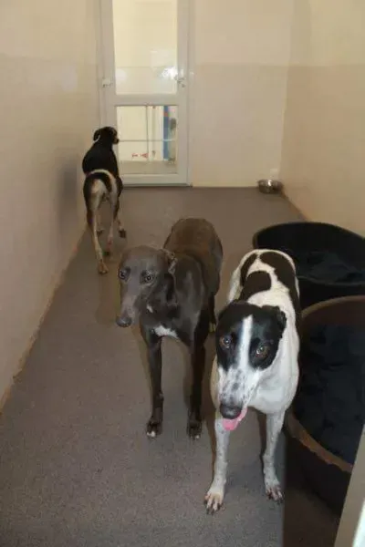 received 1251384714953129