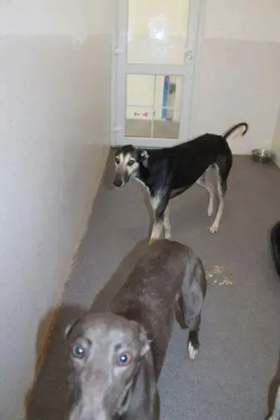 received 1251384731619794