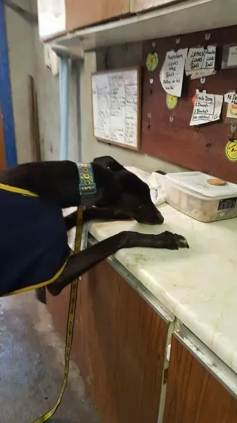 received 1276603492431251