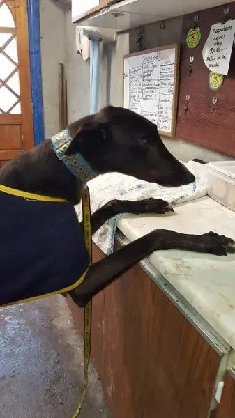 received 1276603495764584