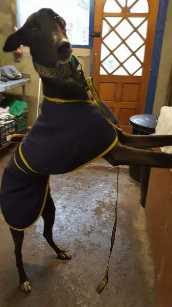 received 1276603499097917