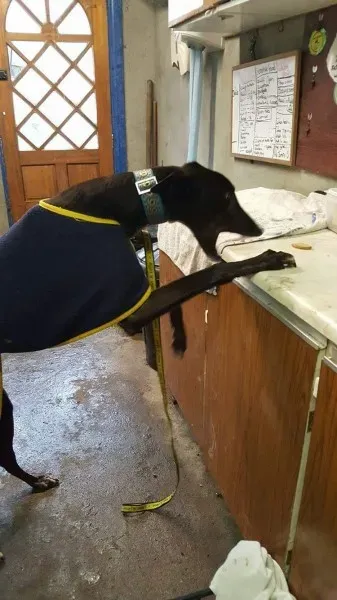 received 1276603502431250