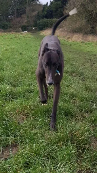 received 1276617309096536