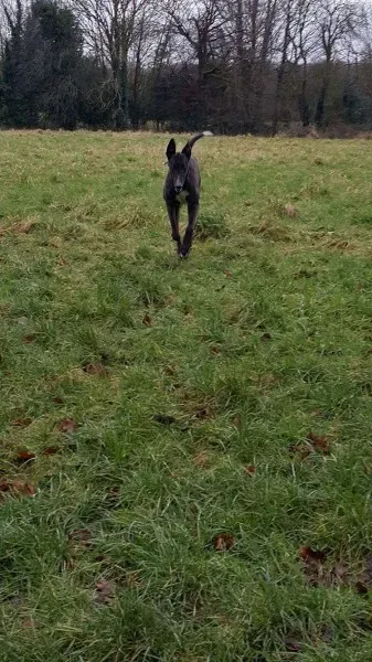 received 1276617312429869