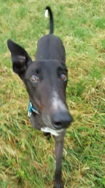 received 1276617315763202