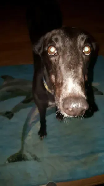 received 1277626745662259