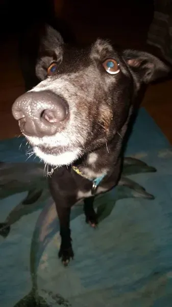 received 1277626788995588