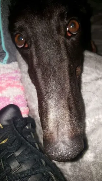 received 1277626805662253