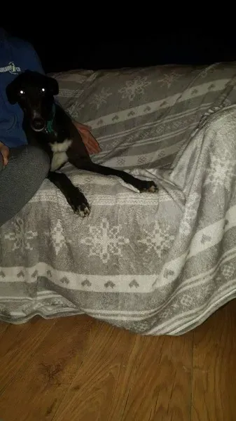 received 1277626808995586