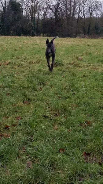 received 1277626818995585