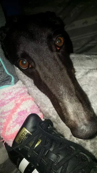 received 1277626832328917