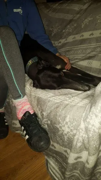 received 1277626838995583