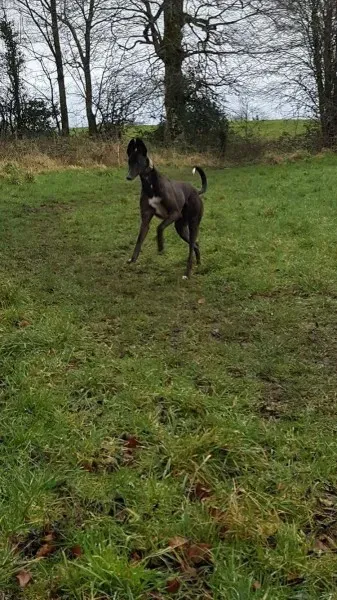 received 1277626842328916