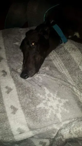 received 1277626852328915