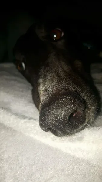 received 1277626855662248