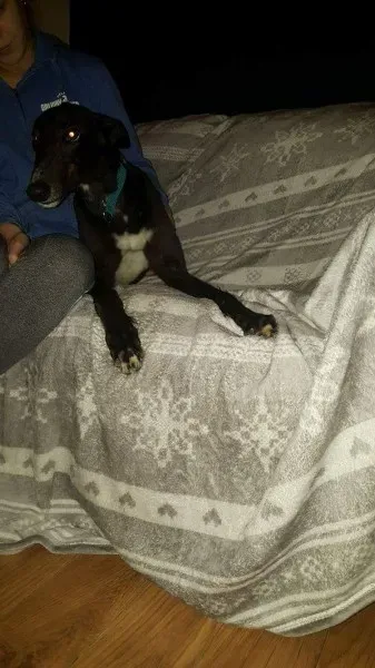 received 1277626858995581