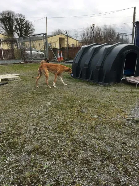 received 1285604344864499