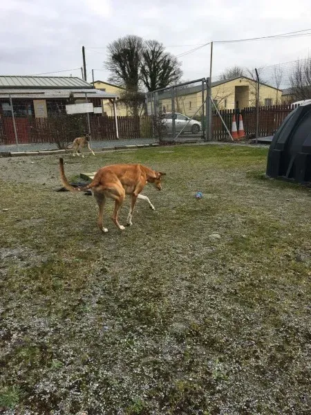 received 1285604384864495