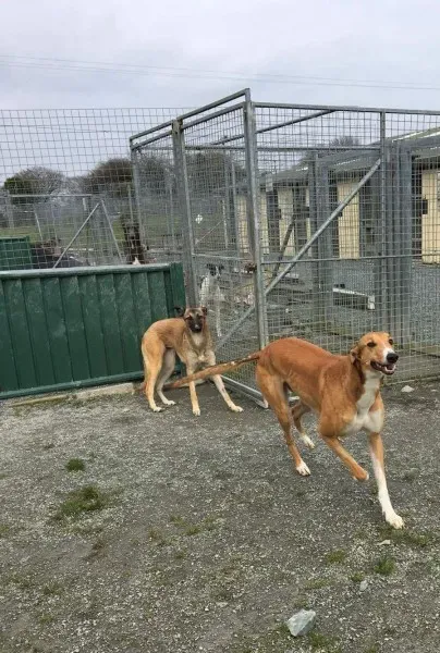 received 1285604474864486