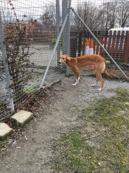 received 1285607644864169