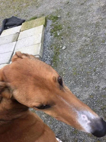 received 1285607741530826