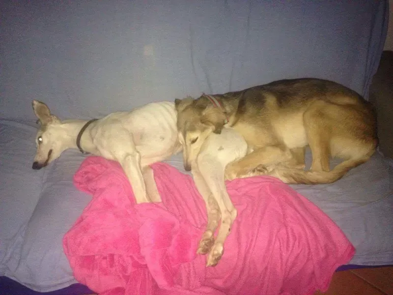 received 1289640987794168