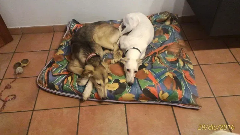 received 1289641021127498