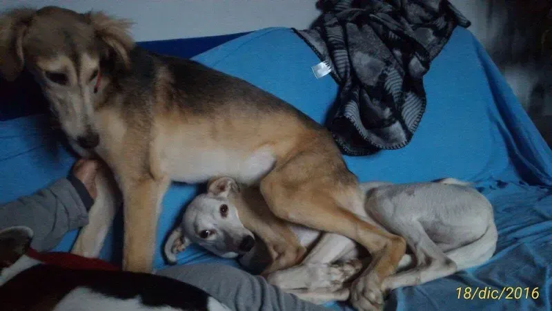 received 1289641594460774