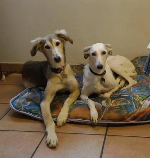 received 1289642141127386