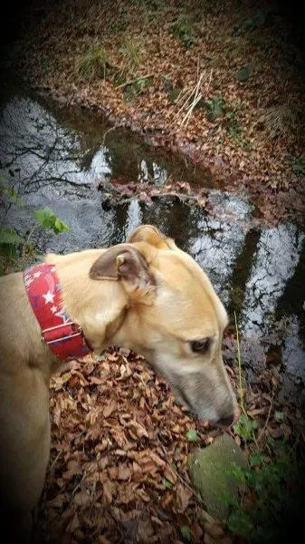 received 1291056980985902