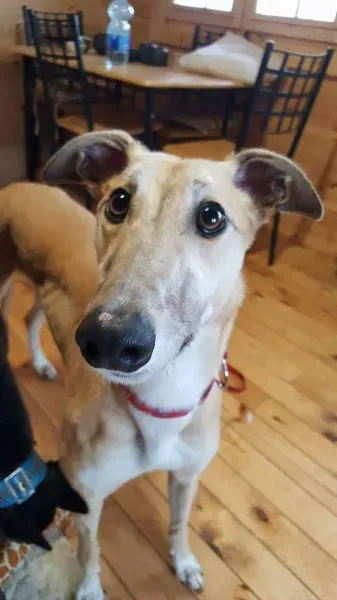 received 1291056984319235