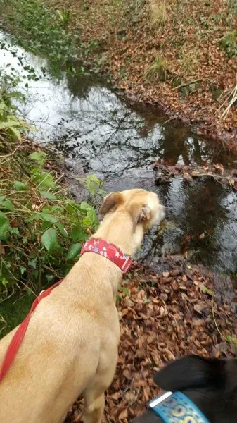 received 1291056987652568