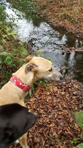 received 1291056990985901