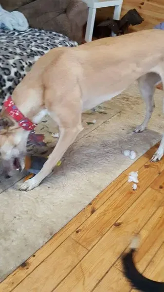 received 1291056997652567