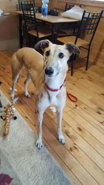 received 1291057000985900