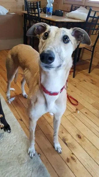 received 1291057004319233