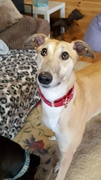 received 1291057007652566