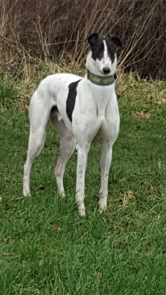 received 1307556159335984