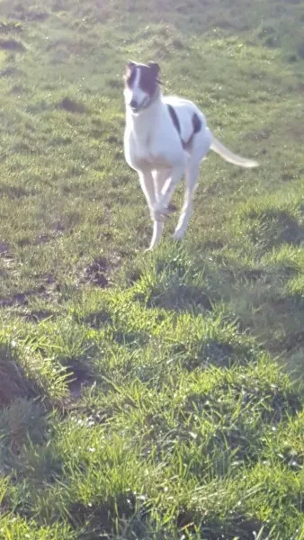 received 1307556162669317